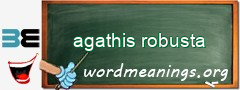 WordMeaning blackboard for agathis robusta